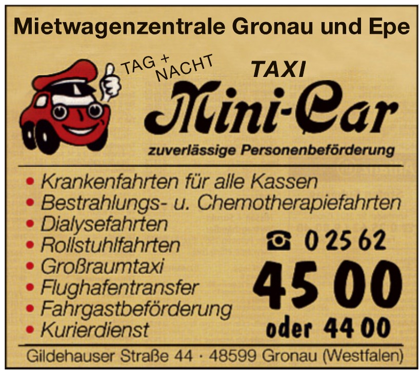 Taxi Mini-Car