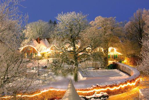 Zauberhafte Winterwelt auf Gut Basthorst