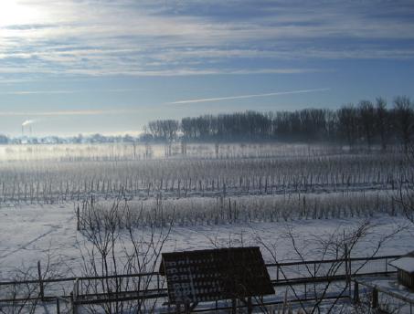 Winterstimmung rund um das Obstparadies Kleinwort