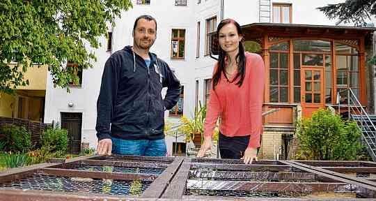 Wunschick Pflegedienst in Halle: Individuelle Hilfe für jeden Bedarf