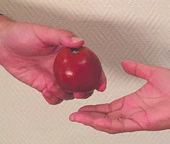 Der Apfel ist in unserer Sprache ein Symbol für viele Entwicklungen Foto: pr Der Apfel ist in unserer Sprache ein Symbol für viele Entwicklungen Foto: pr