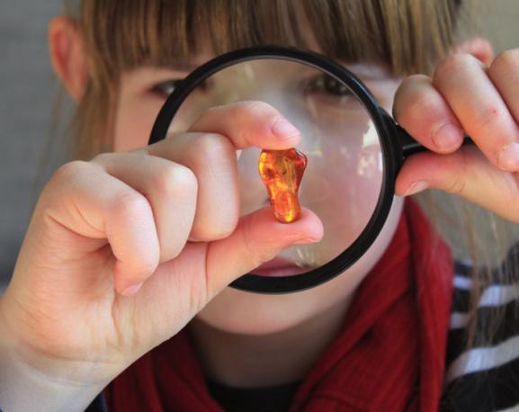 Kinder auf den Spuren von Naturphänomenen