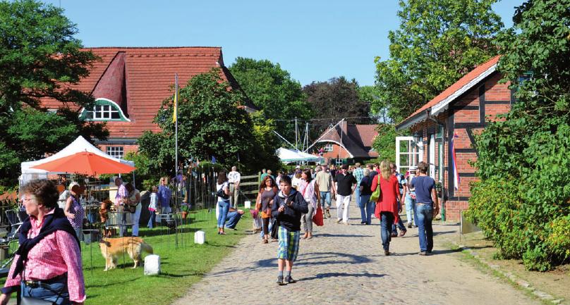 Reges Treiben auf Gut Basthorst