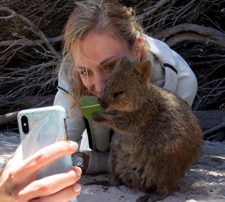 Angelique Kerber: Keine unangenehme Werbetour für Western Australia, auch die Quokkas (Kurzschwanzkängurus) auf Rottnest Island spielten mit. Foto: Jürgen Hasenkopf Angelique Kerber: Keine unangenehme Werbetour für Western Australia, auch die Quokkas (Kurzschwanzkängurus) auf Rottnest Island spielten mit. Foto: Jürgen Hasenkopf