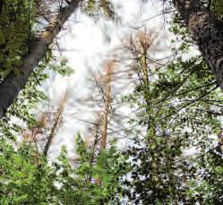 Die Vielfalt macht das Niendorfer Gehege aus Image 3 Die Vielfalt macht das Niendorfer Gehege aus Image 3