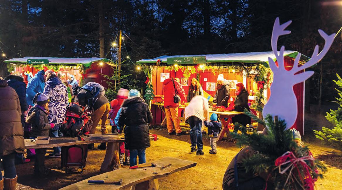 Im ErlebnisWald Trappenkamp gibt es auch in der Adventszeit einiges zu erleben Foto: ErlebnisWald Trappenkamp Im ErlebnisWald Trappenkamp gibt es auch in der Adventszeit einiges zu erleben Foto: ErlebnisWald Trappenkamp