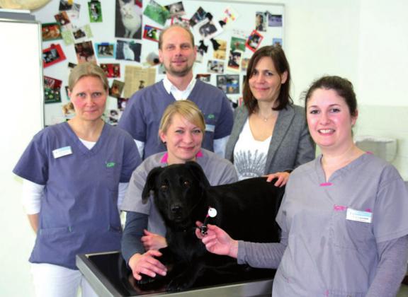 Das Praxisteam mit Therapiehund Polly