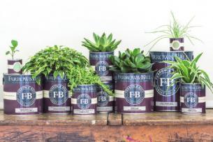 Die Farben von Farrow & Ball sind besonders umweltfreundlich