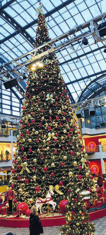 Im Stadtzentrum Schenefeld steht der größte Center-Weihnachtsbaum Deutschlands Foto: Stadtzentrum Schenefeld Im Stadtzentrum Schenefeld steht der größte Center-Weihnachtsbaum Deutschlands Foto: Stadtzentrum Schenefeld