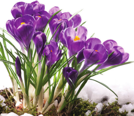 Saisonstart am Stormarnplatz Image 1 Saisonstart am Stormarnplatz Image 1