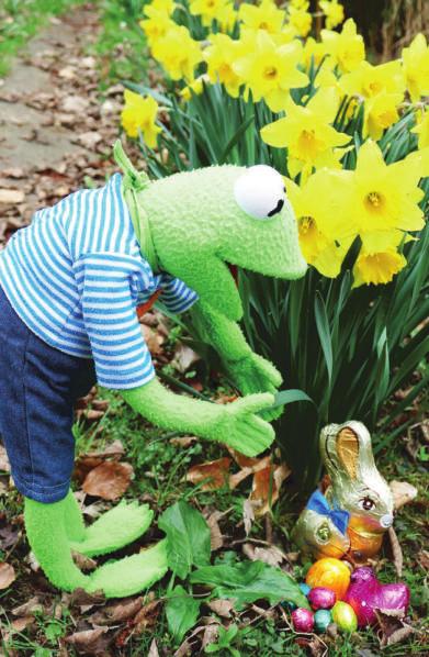 Im heimischen Grün lassen sich tolle Verstecke für die Osterüberraschungen finden Im heimischen Grün lassen sich tolle Verstecke für die Osterüberraschungen finden