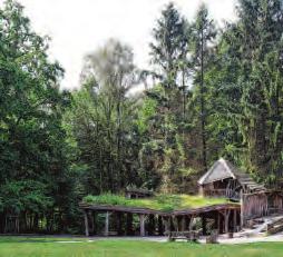 Die Vielfalt macht das Niendorfer Gehege aus Image 4 Die Vielfalt macht das Niendorfer Gehege aus Image 4