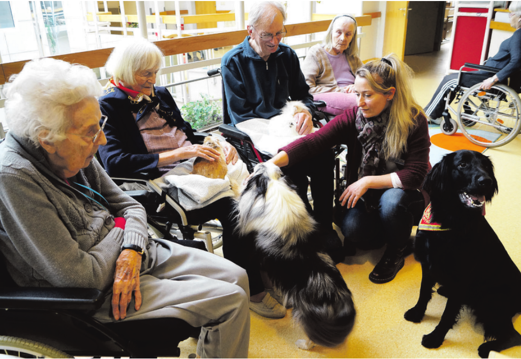 Carina Wrobel bringt für die gemeinsamen Stunden ihre Kaninchen und Hunde mit. Magdalene Schwanke (2. v. l.) genießt mit ihren Mitbewohnern die Kuschelstunden Foto: P. Sonntag Carina Wrobel bringt für die gemeinsamen Stunden ihre Kaninchen und Hunde mit. Magdalene Schwanke (2. v. l.) genießt mit ihren Mitbewohnern die Kuschelstunden Foto: P. Sonntag