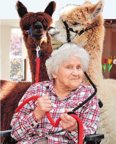 Irmgard Emmel freut sich über die flauschig-weichen, gutmütigen Besucher Foto: Residenz am Wiesenkamp Irmgard Emmel freut sich über die flauschig-weichen, gutmütigen Besucher Foto: Residenz am Wiesenkamp