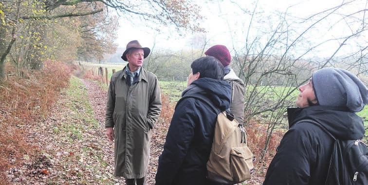 Winterlicher Knick-Spaziergang im Duvenstedter Brook Winterlicher Knick-Spaziergang im Duvenstedter Brook