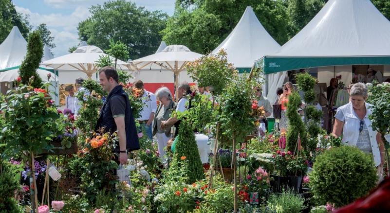 Blumige Inspirationen für ihren Garten entdecken Hobbygärtner in Klein Flottbek