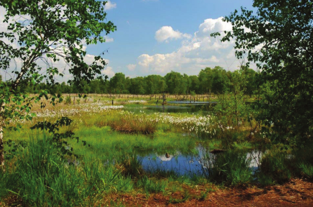 Halb Dorf, halb Vorstadt: Am Wittmoorsee in Lemsahl-Mellingstedt kann man zur Ruhe kommen und die Seele baumeln lassen Foto: HansWolters Halb Dorf, halb Vorstadt: Am Wittmoorsee in Lemsahl-Mellingstedt kann man zur Ruhe kommen und die Seele baumeln lassen Foto: HansWolters