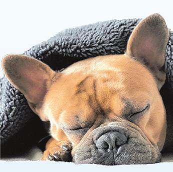 Quartier am Stormarnplatz – auch bei Schietwetter gemütlich Image 1 Quartier am Stormarnplatz – auch bei Schietwetter gemütlich Image 1