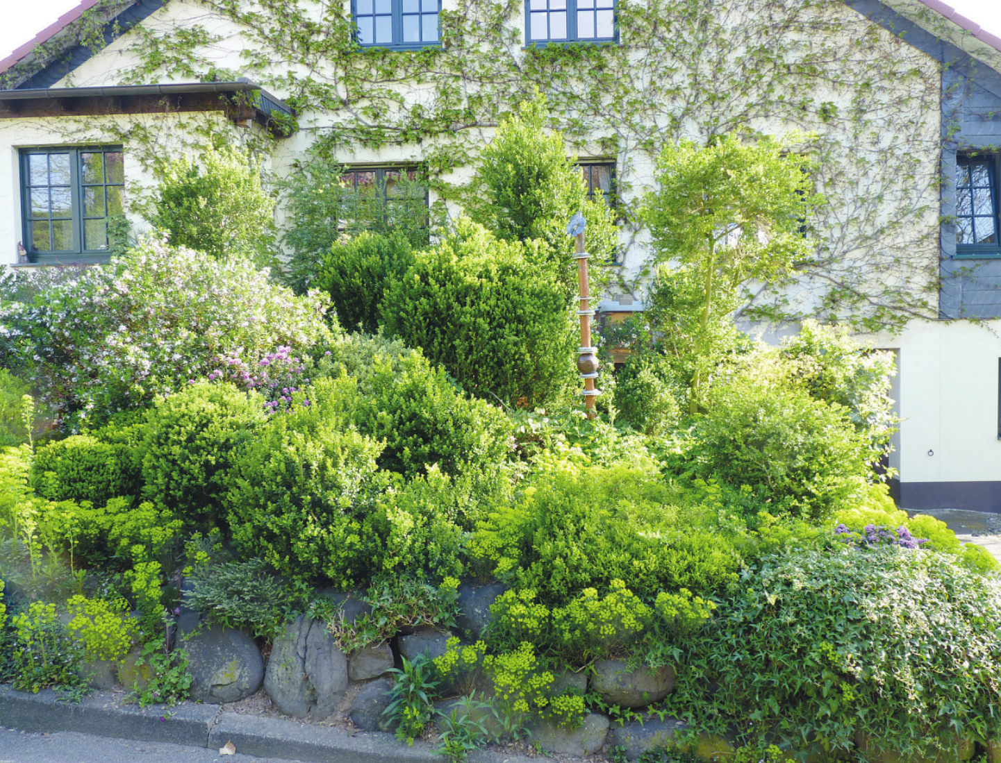 Pflanzen nehmen Regenwasser auf und verdunsten es über ihre Blätter. Auf diese Weise kühlen sie die Luft merklich. Sie binden aber auch Feinstaub und produzieren Sauerstoff, bieten Insekten und Vögeln wichtige Nahrung sowie Verstecke und Lebensraum Fotos: BGL Pflanzen nehmen Regenwasser auf und verdunsten es über ihre Blätter. Auf diese Weise kühlen sie die Luft merklich. Sie binden aber auch Feinstaub und produzieren Sauerstoff, bieten Insekten und Vögeln wichtige Nahrung sowie Verstecke und Lebensraum Fotos: BGL