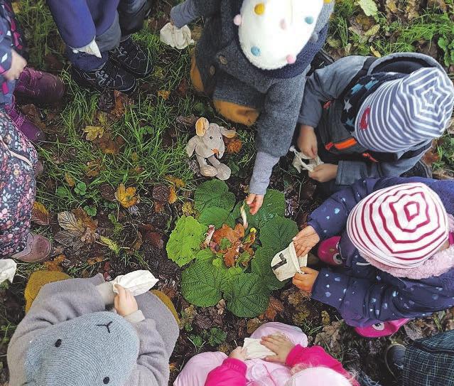 Leckereien für die Feldmaus. Plüschmaus „Waltraut“ kommt im Sommer wie im Winter ohne Futter aus Fotos: Frauke Pöhlsen Leckereien für die Feldmaus. Plüschmaus „Waltraut“ kommt im Sommer wie im Winter ohne Futter aus Fotos: Frauke Pöhlsen