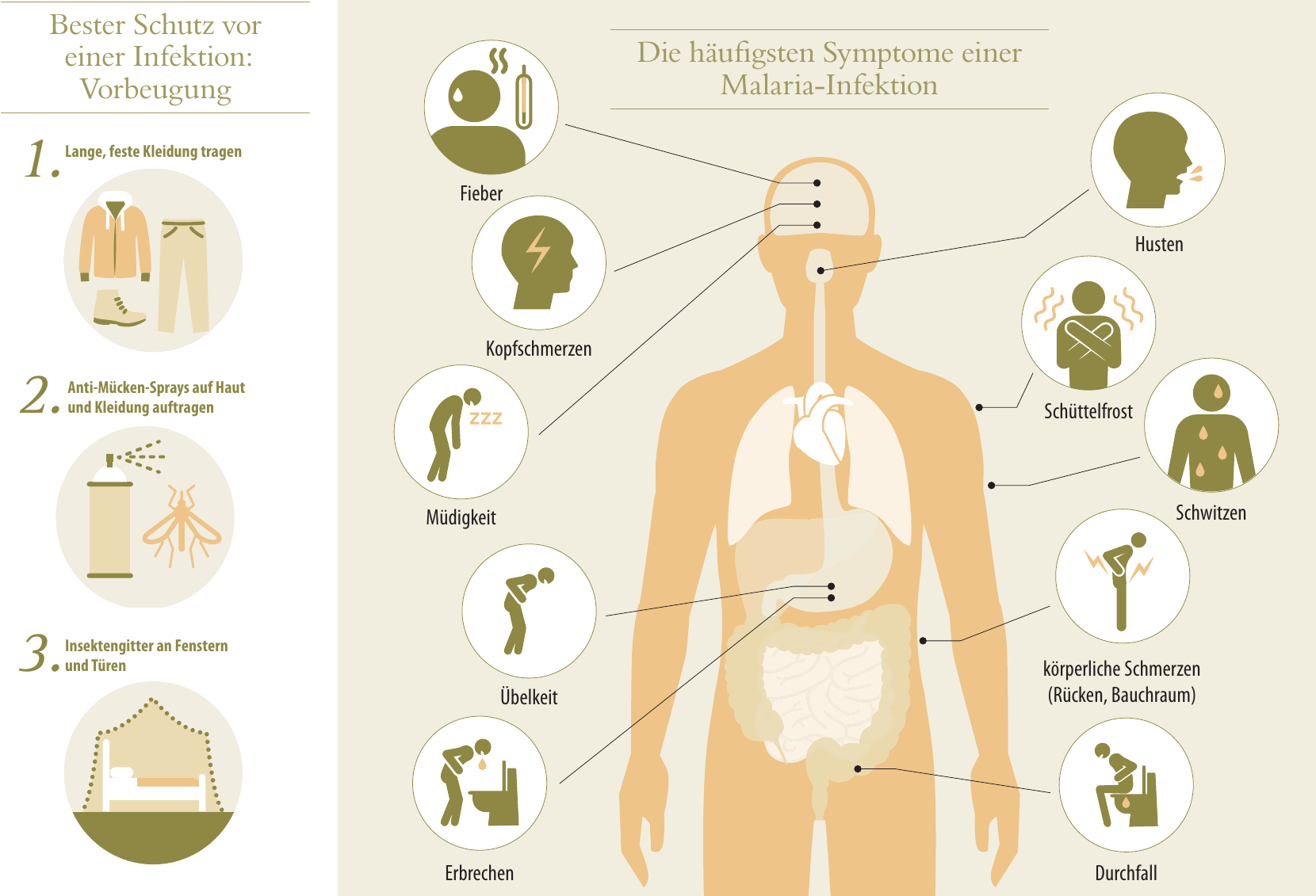 Malaria Image 1 Malaria Image 1