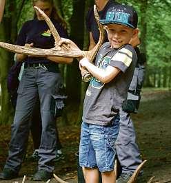 Anhand eines Hirschgeweihs kann man das ungefähre Alter eines Hirschen schätzen. Anhand eines Hirschgeweihs kann man das ungefähre Alter eines Hirschen schätzen.