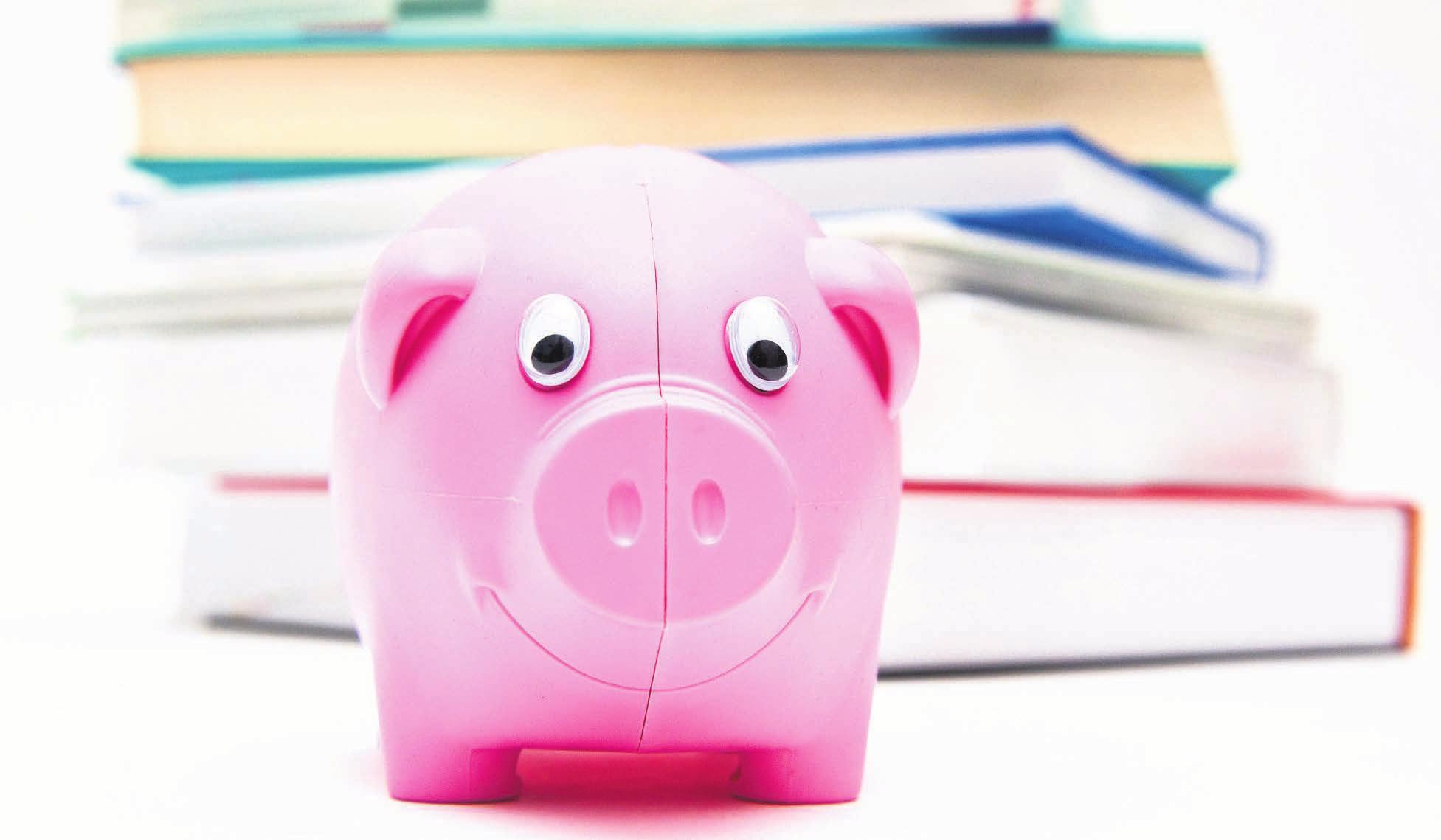 Wer studieren möchte, muss sich vorab über die Finanzierung informieren.FOTO: ANDREA WARNEKE/ DPA-TMN Wer studieren möchte, muss sich vorab über die Finanzierung informieren.FOTO: ANDREA WARNEKE/ DPA-TMN