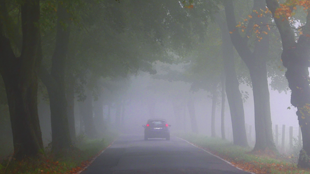 Typische Herbsterscheinungen wie Nebel und starke Winde erschweren Autofahrern das Leben. Die Sicht ist eingeschränkt, Äste können herabfallen. Foto: ADAC Presse   Typische Herbsterscheinungen wie Nebel und starke Winde erschweren Autofahrern das Leben. Die Sicht ist eingeschränkt, Äste können herabfallen. Foto: ADAC Presse
