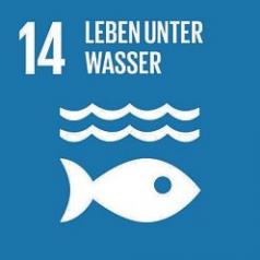 17 Ziele für eine nachhaltige Entwicklung – weltweit Image 16 17 Ziele für eine nachhaltige Entwicklung – weltweit Image 16