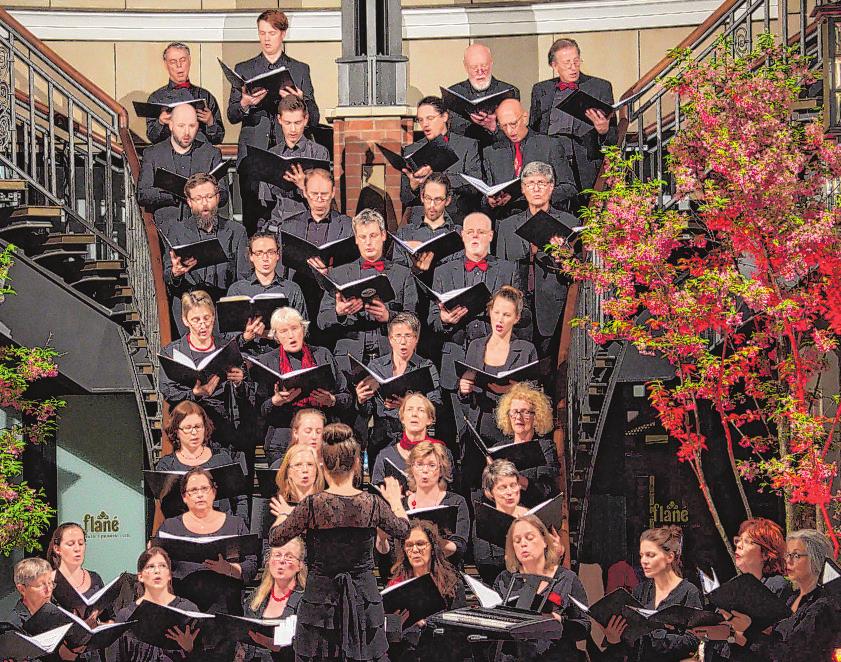 Der Kodály-Chor 2017 bei einem Auftritt im Hamburger Levantehaus Foto:Kodály-Chor Der Kodály-Chor 2017 bei einem Auftritt im Hamburger Levantehaus Foto:Kodály-Chor