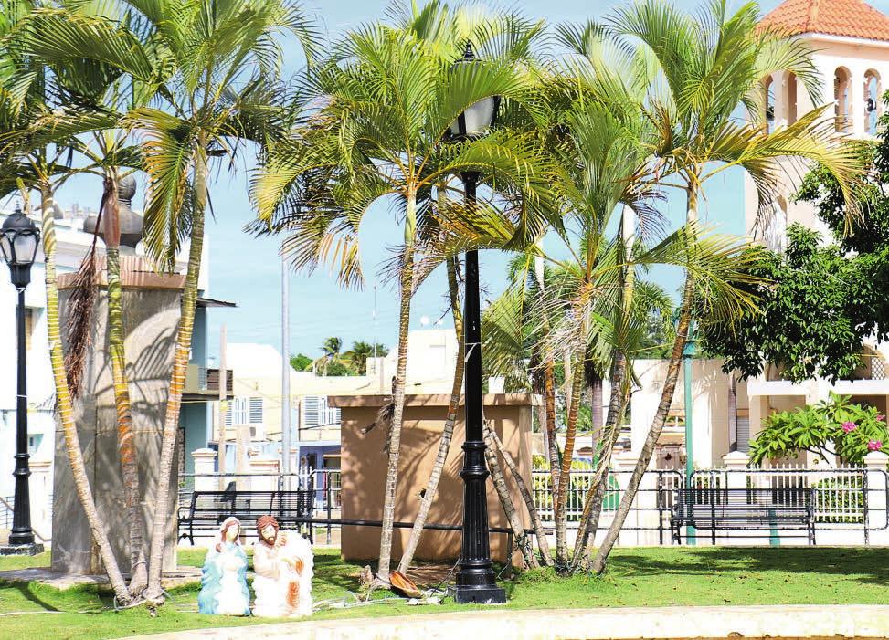 In Puerto Rico wird Christi Geburt unter Palmen gezeigt Fotos: Michael Rahn In Puerto Rico wird Christi Geburt unter Palmen gezeigt Fotos: Michael Rahn