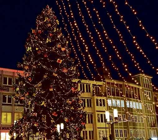 Weihnachtliche Stimmung in der City: Die großen Bäume, die in den Städten für den Lichterglanz sorgen, kommen in der Regel aus nachhaltig bewirtschafteten Wäldern Weihnachtliche Stimmung in der City: Die großen Bäume, die in den Städten für den Lichterglanz sorgen, kommen in der Regel aus nachhaltig bewirtschafteten Wäldern