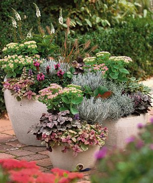 Dekorative Gefäßbepflanzung für den Herbst Foto: Kientzle Dekorative Gefäßbepflanzung für den Herbst Foto: Kientzle