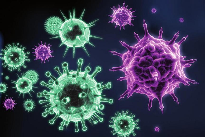 Urachen für unerfüllten Kinderwunsch werden u.a. im Immunsystem vermutet FOTO: @PSDESIGN1