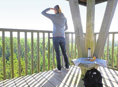 Hier ungefähr ist er: Stormarns höchster Punkt. Foto: Stormarn Tourismus Hier ungefähr ist er: Stormarns höchster Punkt. Foto: Stormarn Tourismus