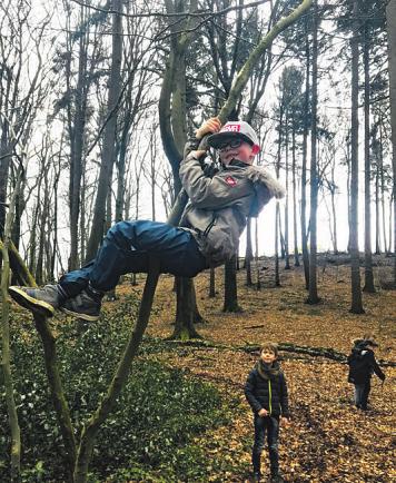 Matti klettert erst mal in den Baum, um ein Platz für das Nest zu suchen Matti klettert erst mal in den Baum, um ein Platz für das Nest zu suchen