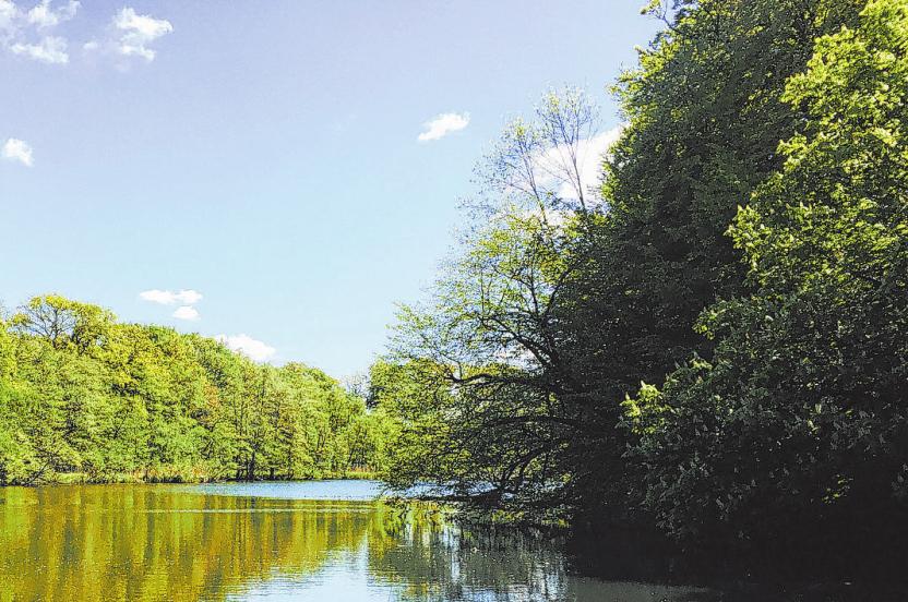 Unberührte Natur, reine Luft, Ruhe: Viele Menschen, die in den Walddörfern oder im Alstertal aufgewachsen sind, kehren später hierher zurück – oft mit eigenem Nachwuchs Unberührte Natur, reine Luft, Ruhe: Viele Menschen, die in den Walddörfern oder im Alstertal aufgewachsen sind, kehren später hierher zurück – oft mit eigenem Nachwuchs