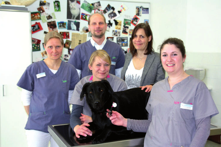 Das Praxisteam mit Therapiehund Polly
