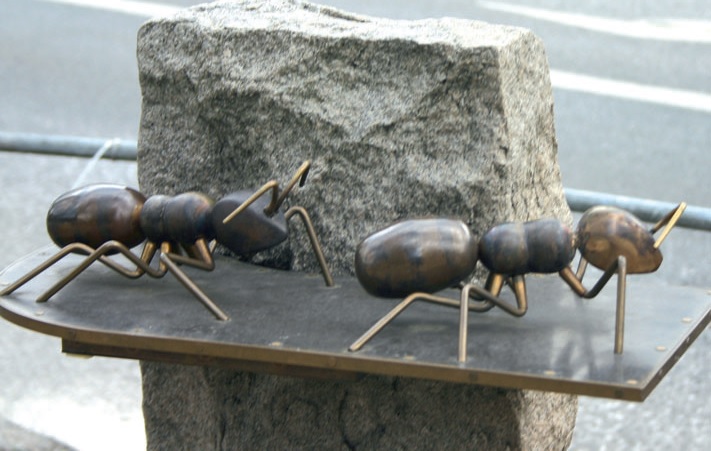 Insekten, gewidmet der Poesie