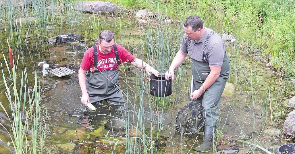 Auch die Pflege des Teichs im Innenhof der Beiersdorf-Zentrale gehört zu den Aufgaben des Teams der Elbe-Werkstätten. Hier sind der Beschäftigte Marcus Sass und Betreuer Christian Bartels im Einsatz Auch die Pflege des Teichs im Innenhof der Beiersdorf-Zentrale gehört zu den Aufgaben des Teams der Elbe-Werkstätten. Hier sind der Beschäftigte Marcus Sass und Betreuer Christian Bartels im Einsatz