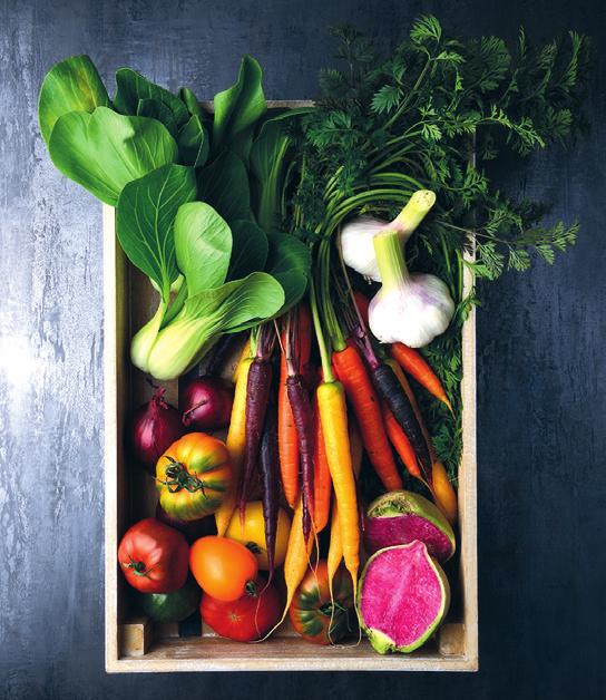 DELTA liefert Spitzengenuss Image 1 DELTA liefert Spitzengenuss Image 1