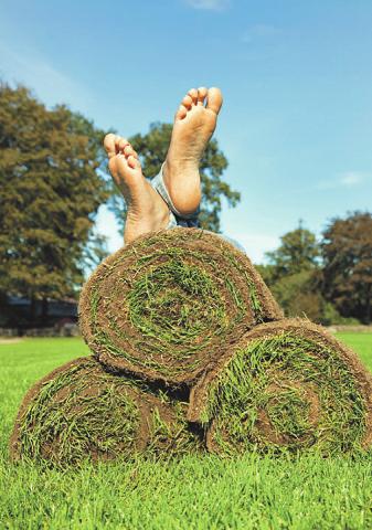 Rollrasen garantieren eine schnelle und einfache Begrünung in bester Qualität. Foto: Matthies Landwirtschaft Rollrasen garantieren eine schnelle und einfache Begrünung in bester Qualität. Foto: Matthies Landwirtschaft