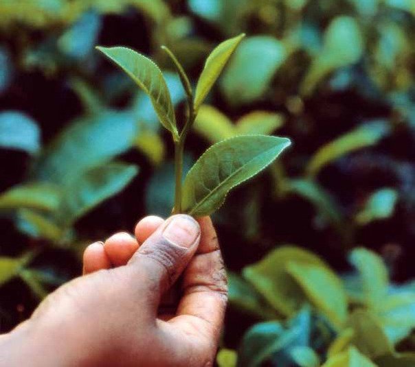 Fotos: OTG Fotos: OTG