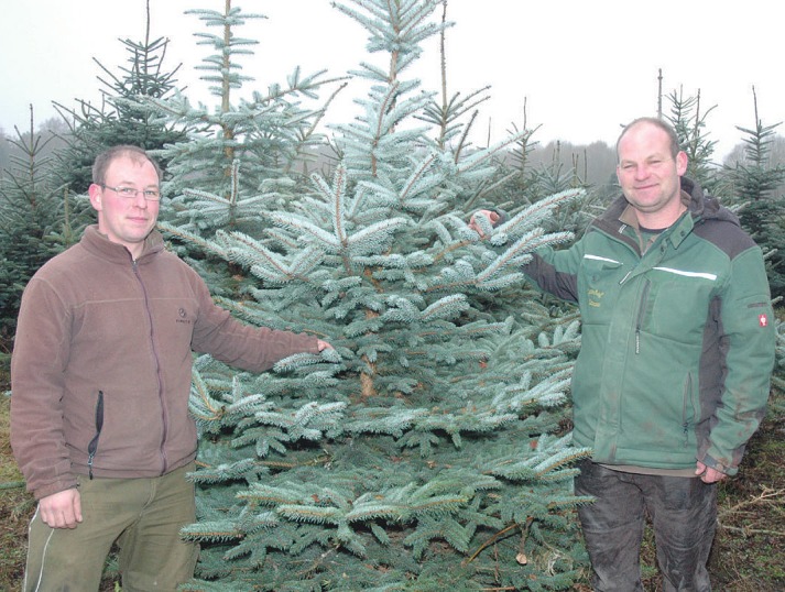 Die Brüder Hauke (l.) und Jan Cordes kümmern sich auf dem Gartenhof Wittmoor in Holm um den Verkauf der selbst gezogenen Weihnachtsbäume Foto: Kuno Klein Die Brüder Hauke (l.) und Jan Cordes kümmern sich auf dem Gartenhof Wittmoor in Holm um den Verkauf der selbst gezogenen Weihnachtsbäume Foto: Kuno Klein