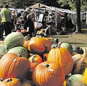 Ausflüge - Veranstaltungen - Kurzurlaub Image 3 Ausflüge - Veranstaltungen - Kurzurlaub Image 3