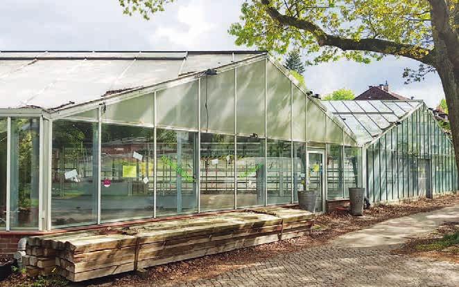 Die letzte Lokstedter Traditionsgärtnerei wird einem Neubau weichen Die letzte Lokstedter Traditionsgärtnerei wird einem Neubau weichen