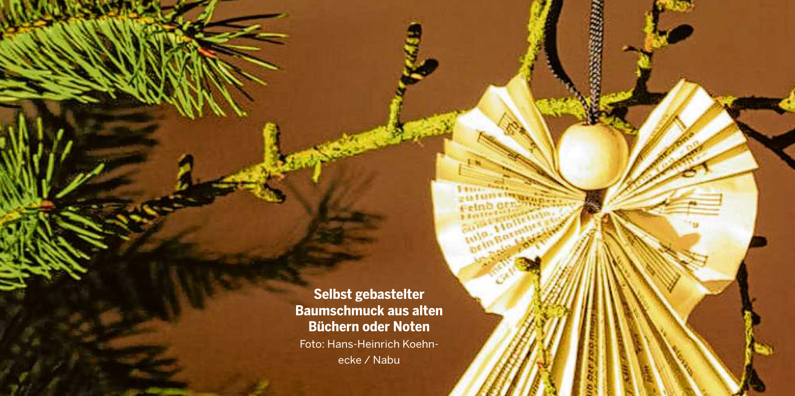 Selbst gebastelter Baumschmuck aus alten Büchern oder Noten Foto: Hans-Heinrich Koehnecke / Nabu Selbst gebastelter Baumschmuck aus alten Büchern oder Noten Foto: Hans-Heinrich Koehnecke / Nabu