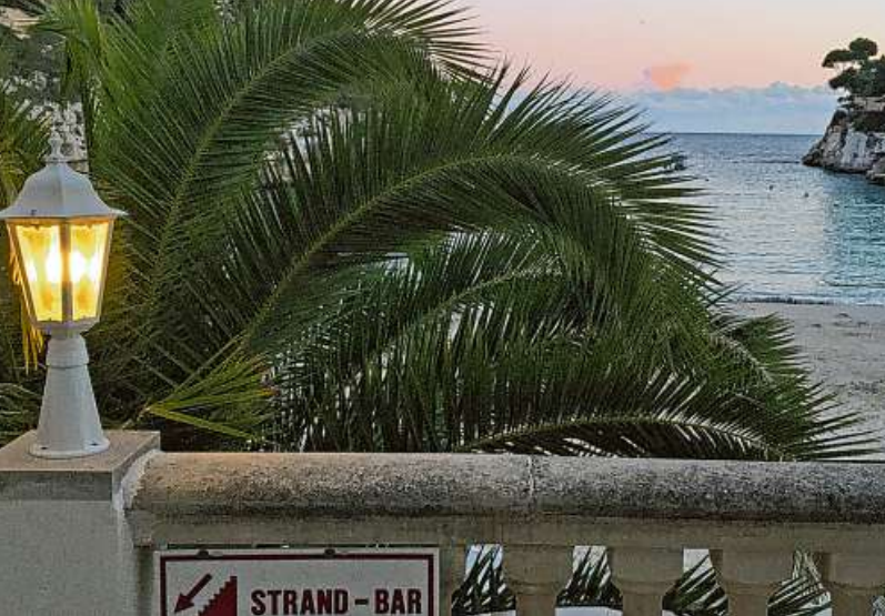 Apfelblüte im alten Land Image 1 Apfelblüte im alten Land Image 1