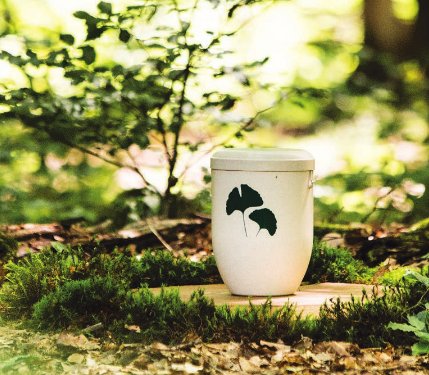 Die Urnen bei Baumbestattungen sind biologisch abbaubar. Foto: FriedWald/Thomas Gasparini Die Urnen bei Baumbestattungen sind biologisch abbaubar. Foto: FriedWald/Thomas Gasparini