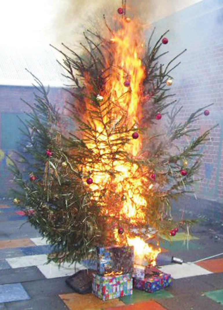 Schneller als man denkt, steht ein Weihnachtsbaum mit echten Kerzen lichterloh in Flammen. Deshalb ist Vorsicht geboten Foto: Deutscher Feuerwehrverband e. V. Schneller als man denkt, steht ein Weihnachtsbaum mit echten Kerzen lichterloh in Flammen. Deshalb ist Vorsicht geboten Foto: Deutscher Feuerwehrverband e. V.